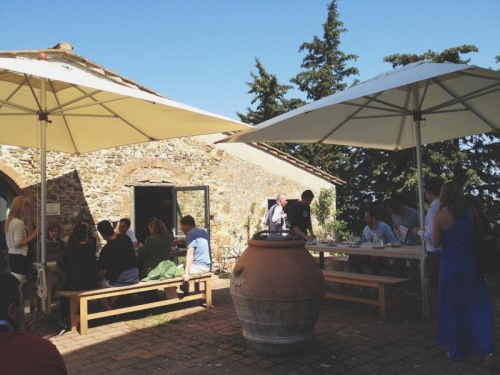 Wine tour in Tuscany via MontgomeryFest